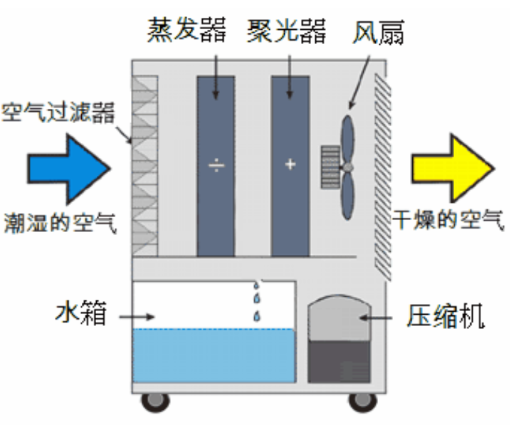 转轮草莓视频APP在线观看启动不正常的原因