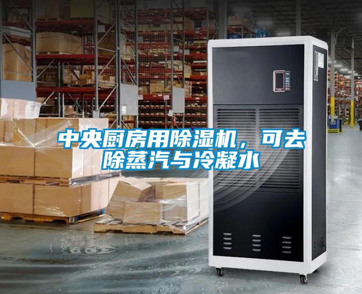 中央厨房用草莓视频APP在线观看，可去除蒸汽与冷凝水