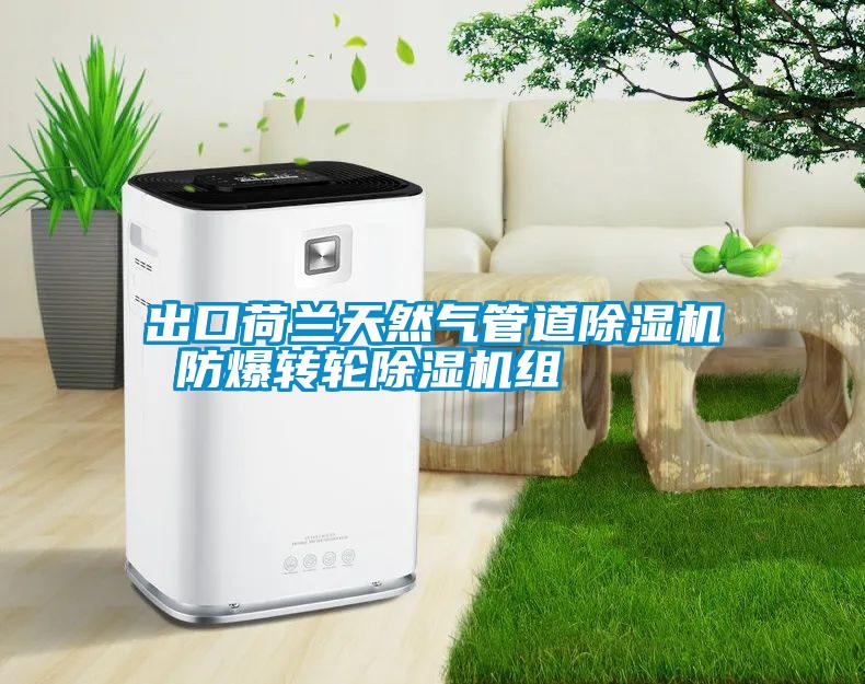 出口荷兰天然气管道草莓视频APP在线观看 防爆转轮草莓视频APP在线观看组