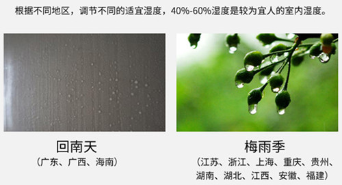 防潮草莓视频APP在线观看