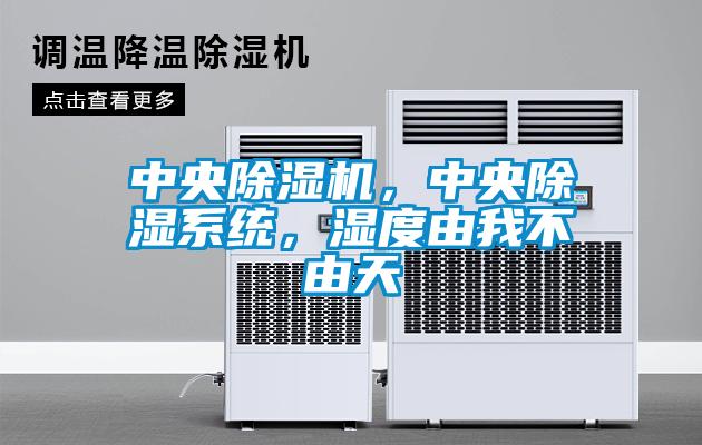 中央草莓视频APP在线观看，中央除湿系统，湿度由我不由天