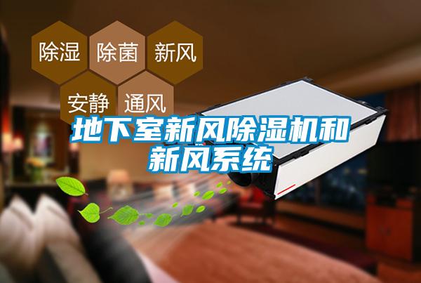 地下室新风草莓视频APP在线观看和新风系统