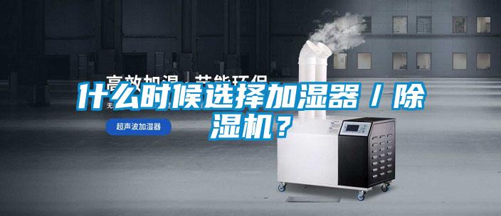 什么时候选择加湿器／草莓视频APP在线观看？