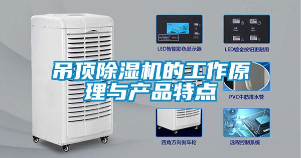 吊顶草莓视频APP在线观看的工作原理与产品特点