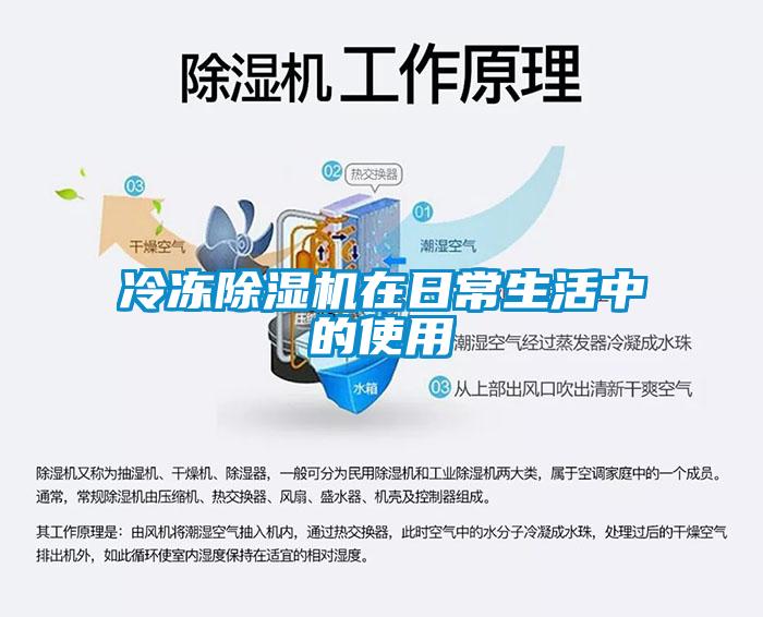 冷冻草莓视频APP在线观看在日常生活中的使用