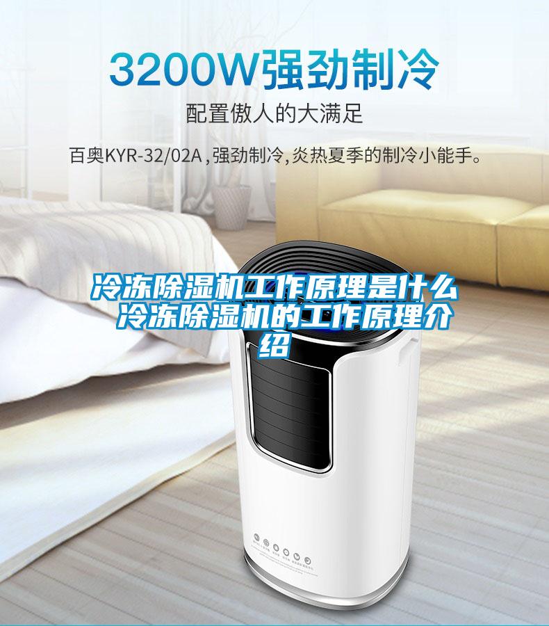 冷冻草莓视频APP在线观看工作原理是什么 冷冻草莓视频APP在线观看的工作原理介绍