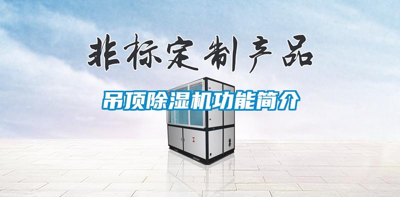 吊顶草莓视频APP在线观看功能简介