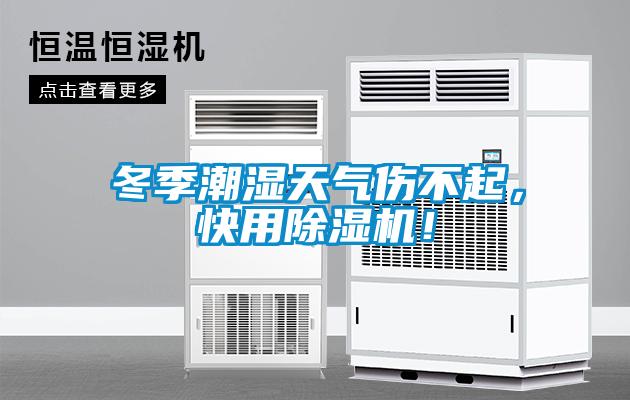 冬季潮湿天气伤不起，快用草莓视频APP在线观看！