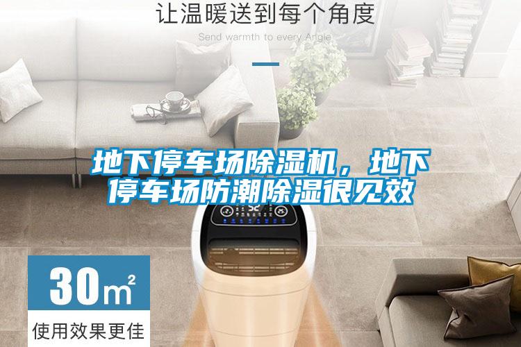 地下停车场草莓视频APP在线观看，地下停车场防潮除湿很见效