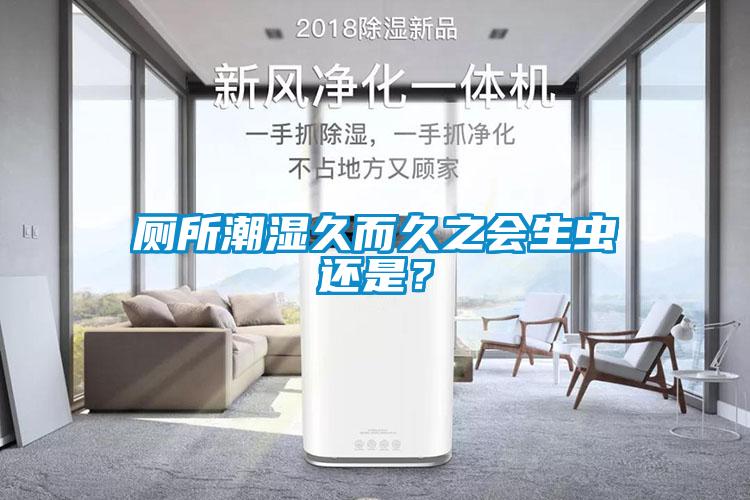 厕所潮湿久而久之会生虫还是？