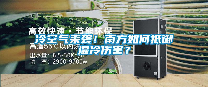 冷空气来袭！南方如何抵御湿冷伤害？