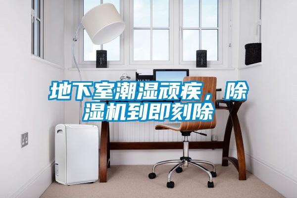 地下室潮湿顽疾，草莓视频APP在线观看到即刻除