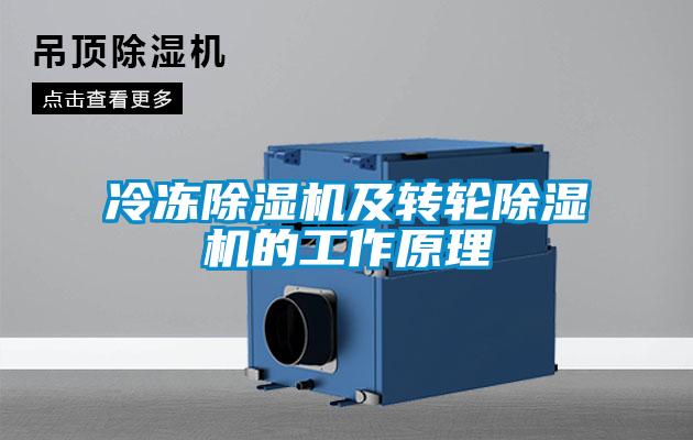 冷冻草莓视频APP在线观看及转轮草莓视频APP在线观看的工作原理