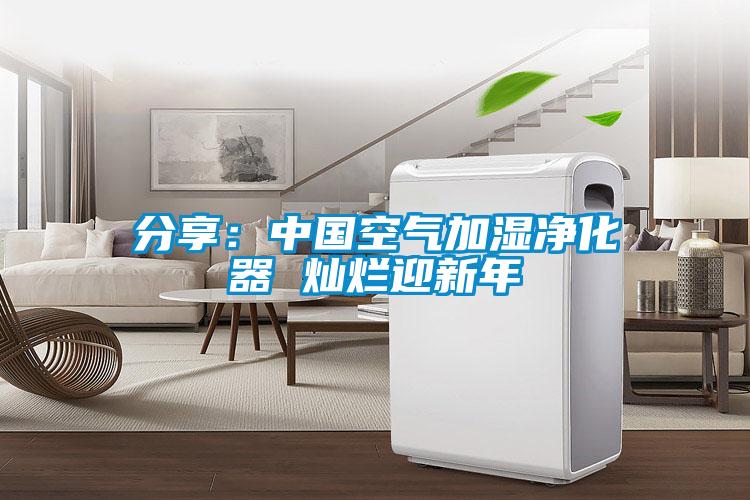 分享：中国空气加湿净化器 灿烂迎新年