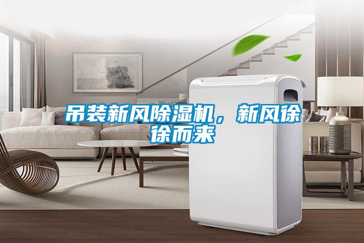 吊装新风草莓视频APP在线观看，新风徐徐而来