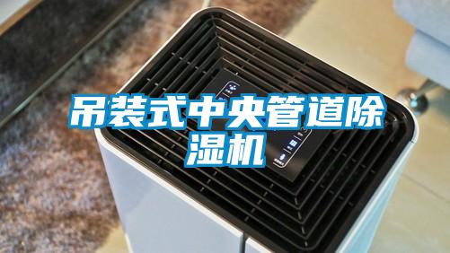 吊装式中央管道草莓视频APP在线观看