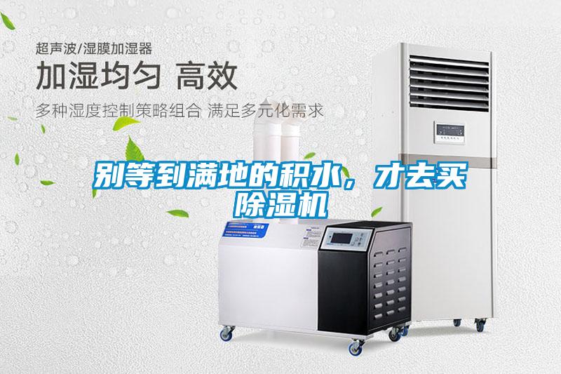 别等到满地的积水，才去买草莓视频APP在线观看