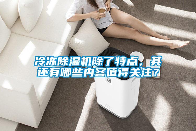 冷冻草莓视频APP在线观看除了特点，其还有哪些内容值得关注？