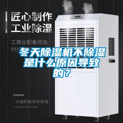 冬天草莓视频APP在线观看不除湿是什么原因导致的？