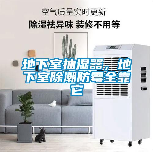 地下室抽湿器，地下室除潮防霉全靠它