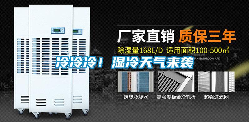 冷冷冷！湿冷天气来袭