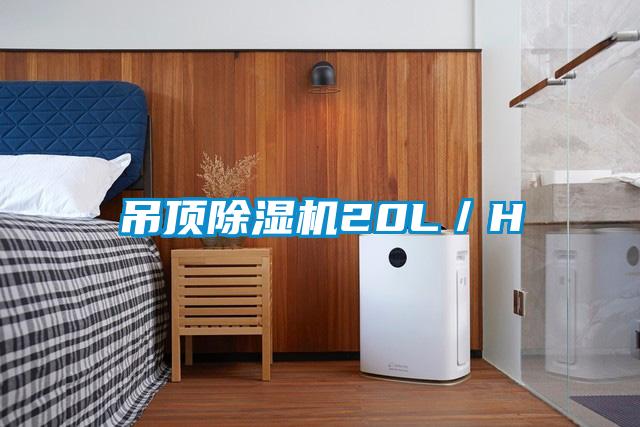 吊顶草莓视频APP在线观看20L／H