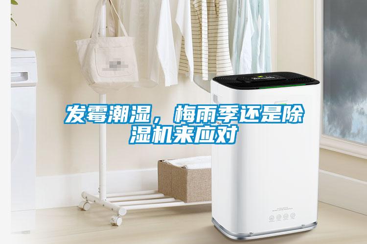 发霉潮湿，梅雨季还是草莓视频APP在线观看来应对