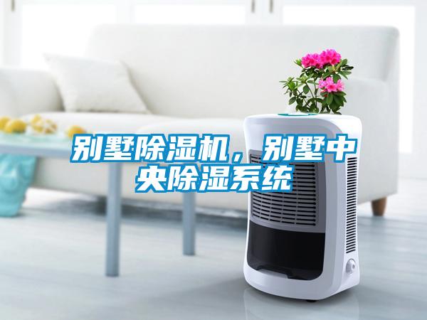 别墅草莓视频APP在线观看，别墅中央除湿系统