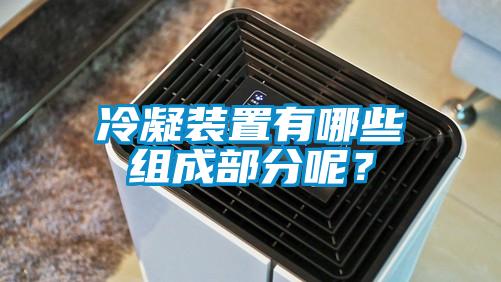 冷凝装置有哪些组成部分呢？