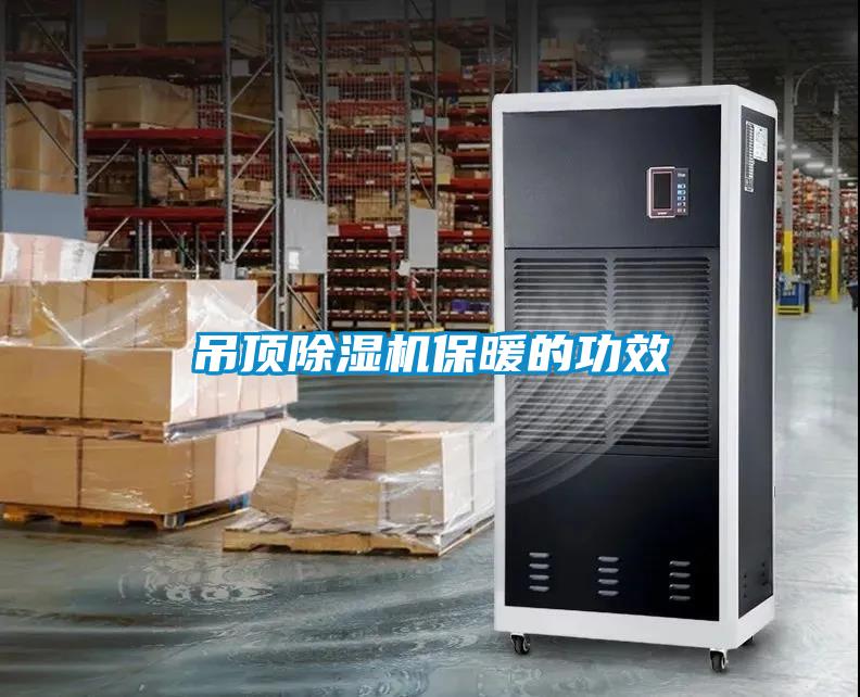 吊顶草莓视频APP在线观看保暖的功效
