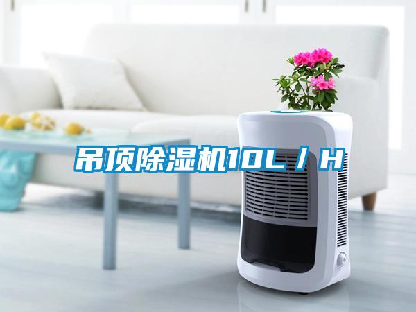吊顶草莓视频APP在线观看10L／H