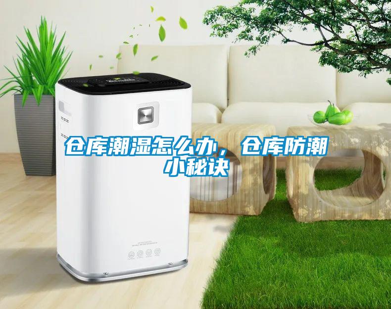 仓库潮湿怎么办，仓库防潮小秘诀