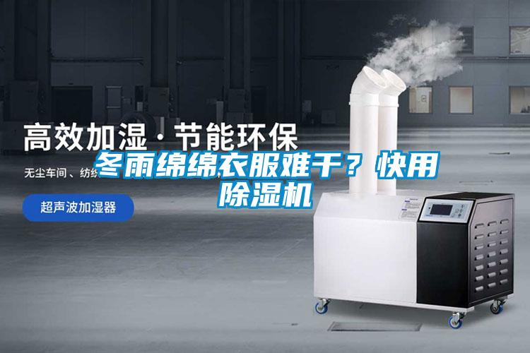 冬雨绵绵衣服难干？快用草莓视频APP在线观看