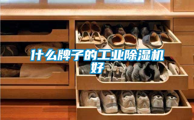 什么牌子的工业草莓视频APP在线观看好