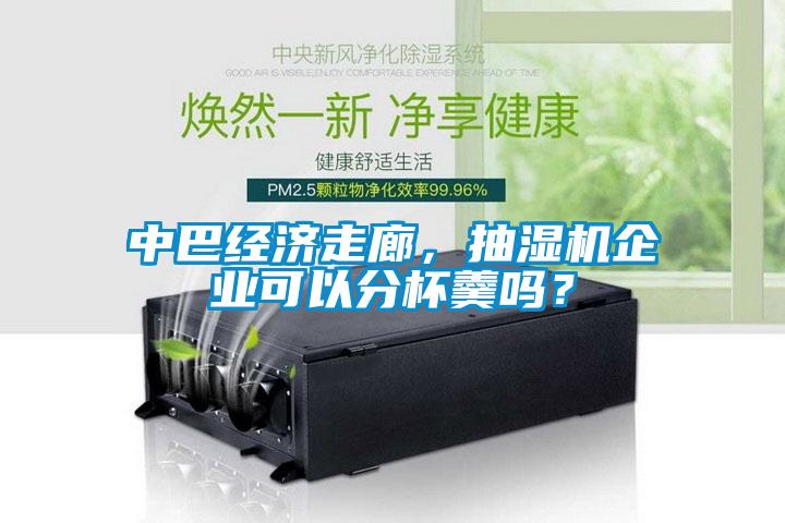 中巴经济走廊，抽湿机企业可以分杯羹吗？