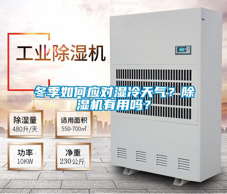 冬季如何应对湿冷天气？草莓视频APP在线观看有用吗？