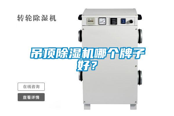 吊顶草莓视频APP在线观看哪个牌子好？