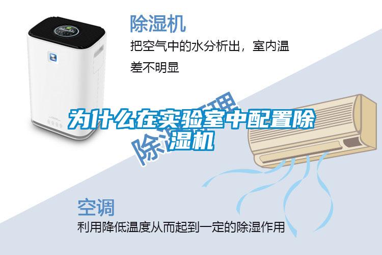 为什么在实验室中配置草莓视频APP在线观看