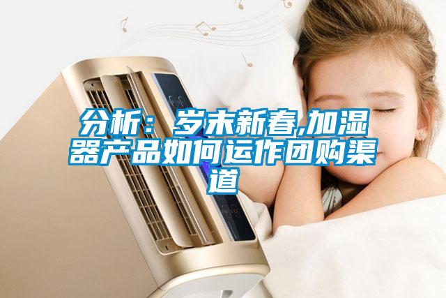 分析：岁末新春,加湿器产品如何运作团购渠道