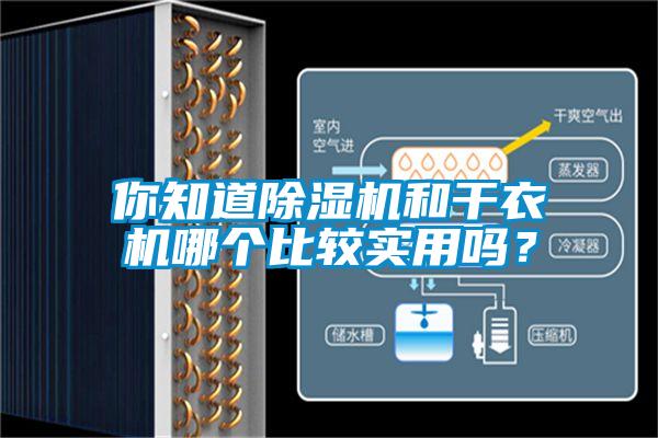 你知道草莓视频APP在线观看和干衣机哪个比较实用吗？