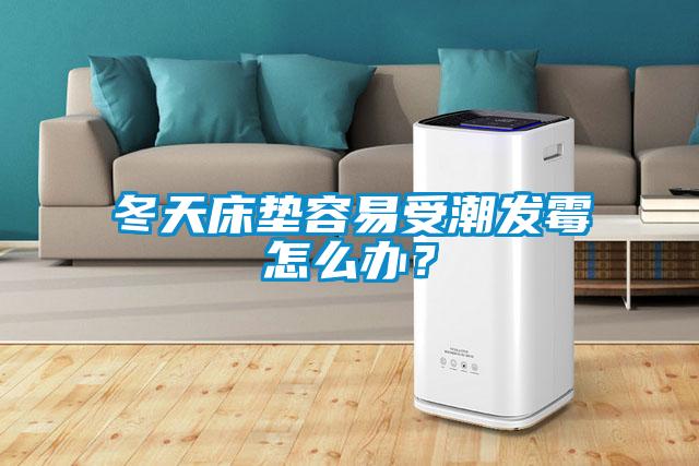冬天床垫容易受潮发霉怎么办？