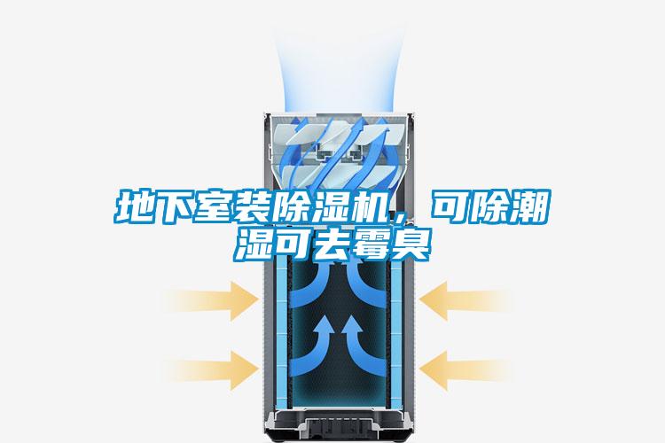 地下室装草莓视频APP在线观看，可除潮湿可去霉臭