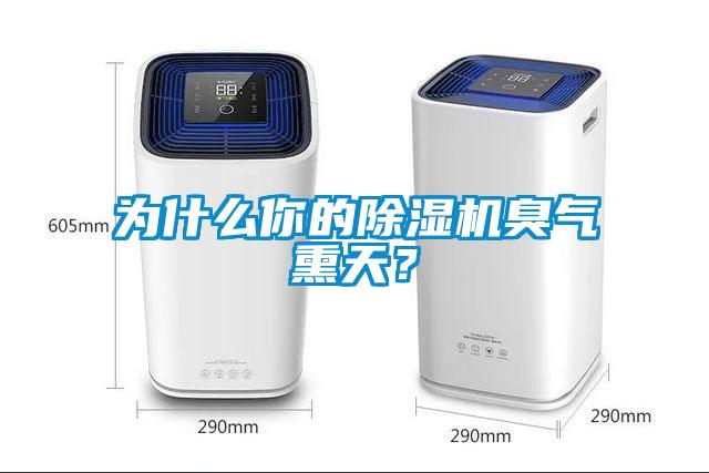 为什么你的草莓视频APP在线观看臭气熏天？