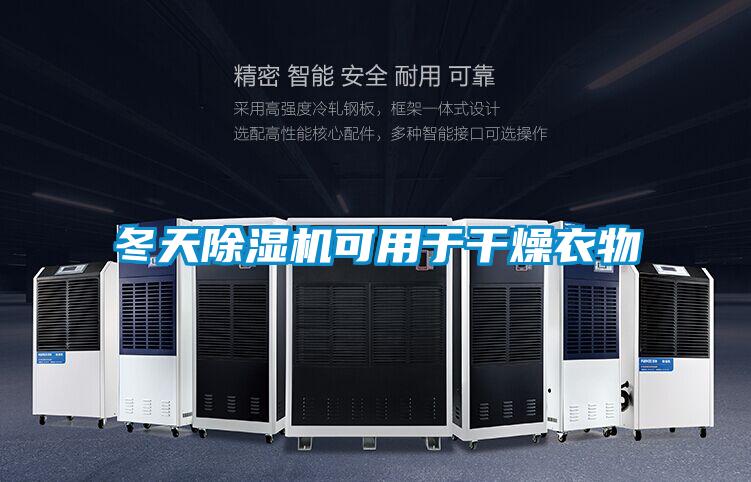 冬天草莓视频APP在线观看可用于干燥衣物