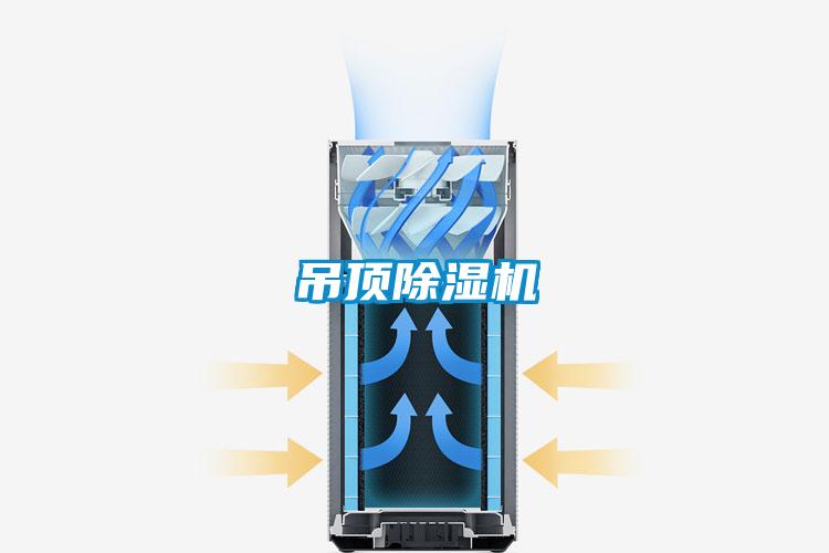 吊顶草莓视频APP在线观看