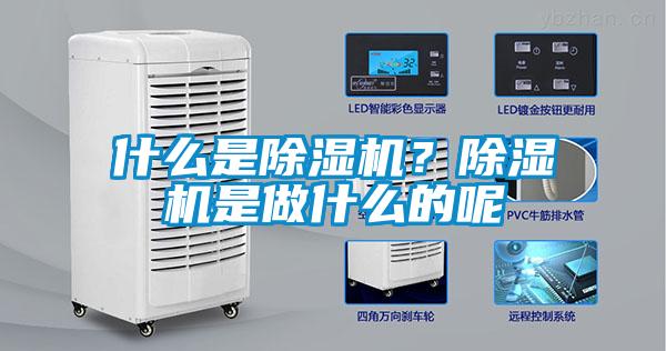 什么是草莓视频APP在线观看?草莓视频APP在线观看是做什么的呢
