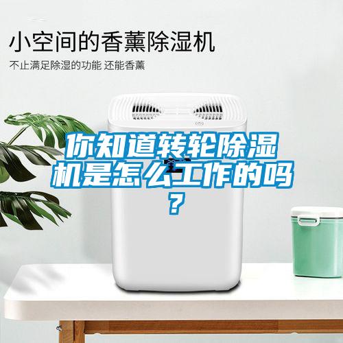 你知道转轮草莓视频APP在线观看是怎么工作的吗？