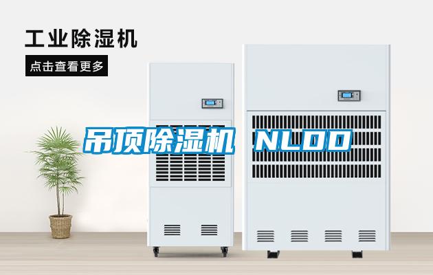 吊顶草莓视频APP在线观看 NLDD