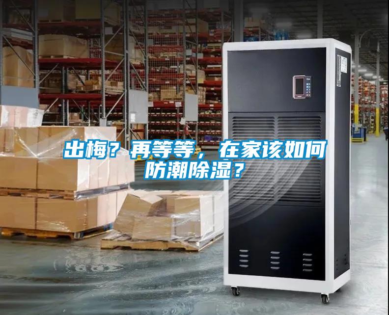 出梅？再等等，在家该如何防潮除湿？