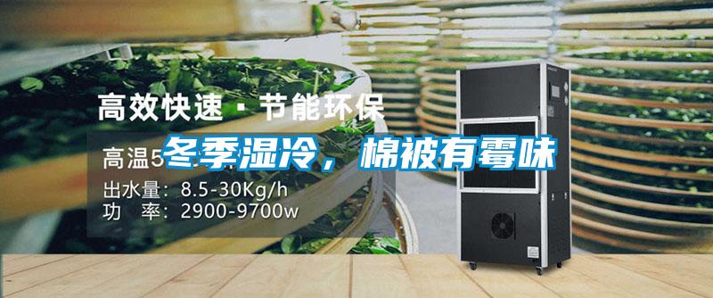 冬季湿冷，棉被有霉味